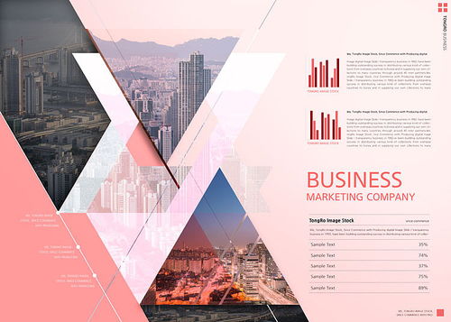 創(chuàng)意商務(wù)科技互聯(lián)網(wǎng)企業(yè)業(yè)務(wù)產(chǎn)品推廣宣傳畫冊(cè)排版設(shè)計(jì)