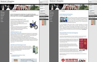 數(shù)字絲路新篇 法國(guó)蒙特勒依市與長(zhǎng)春市深化經(jīng)貿(mào)合作，共繪網(wǎng)站建設(shè)新藍(lán)圖